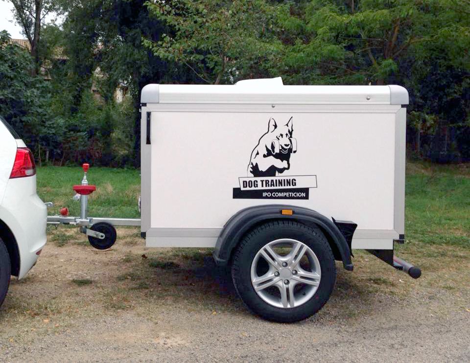 Logotipo DogTraining Rotulación